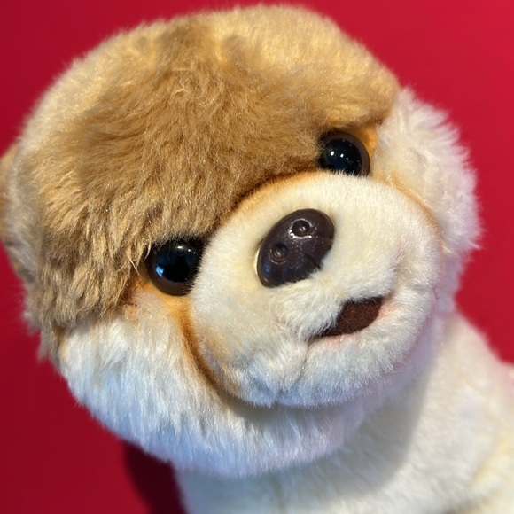 Gund Boo The Worlds Cutest Plush Dog 9" toy stuffed animal puppy - Picture 7 of 9